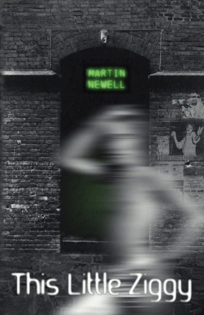 Cover for Martin Newell · This Little Ziggy (Paperback Book) [2 Revised edition] (2008)