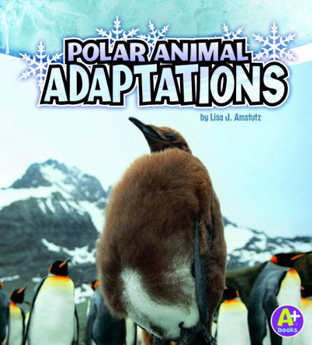 Cover for Lisa J. Amstutz · Polar Animal Adaptations (Amazing Animal Adaptations) (Hardcover Book) (2011)