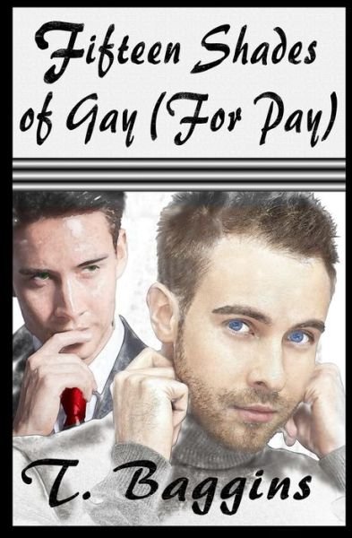 Cover for T Baggins · Fifteen Shades of Gay (For Pay) (Paperback Book) (2012)