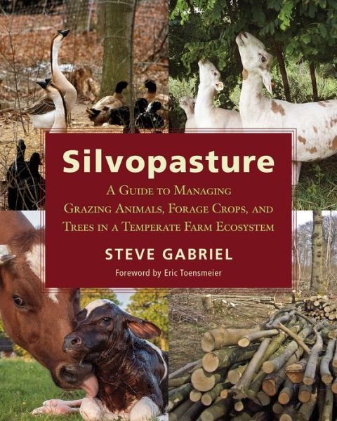 Cover for Steve Gabriel · Silvopasture: A Guide to Managing Grazing Animals, Forage Crops, and Trees in a Temperate Farm Ecosystem (Taschenbuch) (2018)