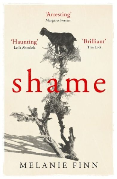 Cover for Melanie Finn · Shame (Paperback Book) (2016)