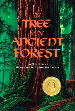 Cover for Carol Reed-Jones · The Tree in the Ancient Forest (Taschenbuch) (1995)