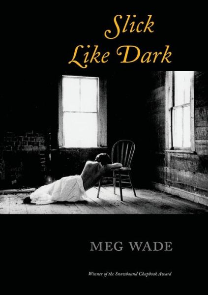 Slick Like Dark - Meg Wade - Books - Tupelo Press, Incorporated - 9781946482310 - April 1, 2020