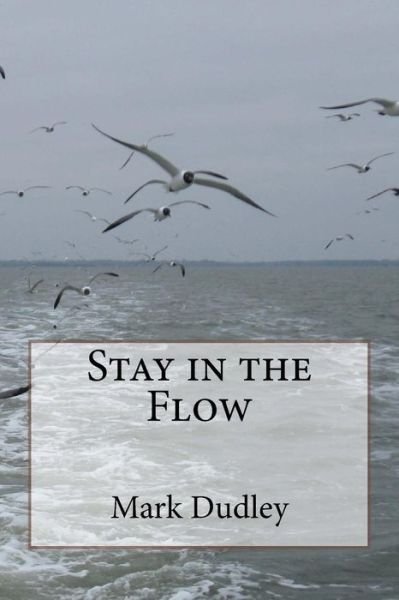 Cover for Mark Dudley · Stay in the Flow (Paperback Book) (2018)