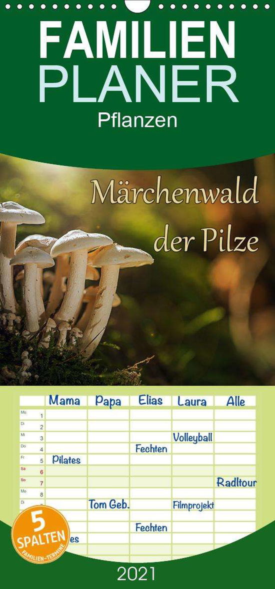 Cover for Radtke · Märchenwald der Pilze - Familien (Book)