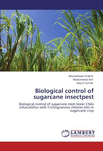 Cover for Anjum Suhail · Biological Control of Sugarcane Insectpest: Biological Control of Sugarcane Stem Borer Chilo Infuscatellus with Trichogramma Chilonis Ishii in Sugarcane Crop (Paperback Book) (2012)