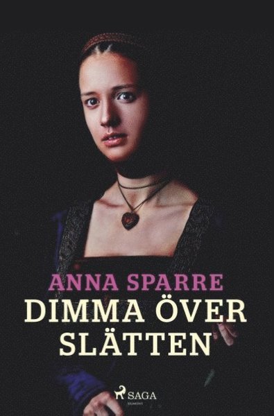 Cover for Anna Sparre · Dimma över slätten (Book) (2019)