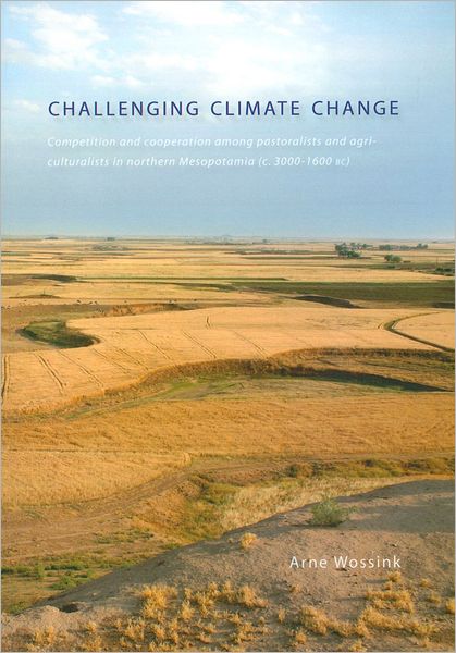 Challenging Climate Change - Arne Wossink - Books - Sidestone Press - 9789088900310 - November 11, 2009