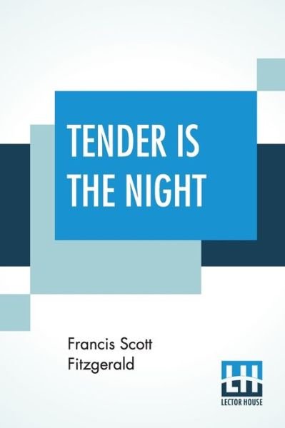Cover for F Scott Fitzgerald · Tender Is The Night (Taschenbuch) (2019)