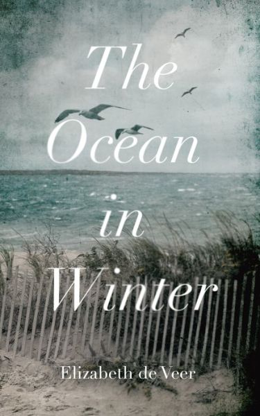 Cover for Elizabeth de Veer · The Ocean in Winter (Paperback Book) (2022)