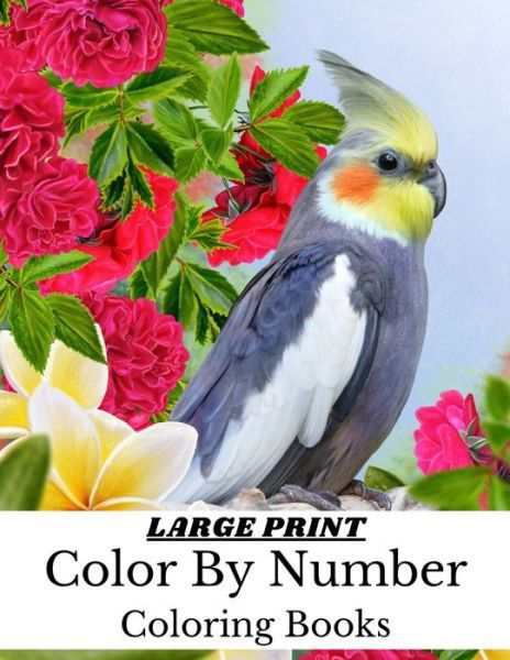 Cover for Robin Miller · Large Print Color By Number Coloring Books (Taschenbuch) (2021)