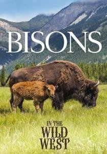 Bisons in the Wild West - Documentation - Filme - ZYX - 0090204697311 - 21. April 2017