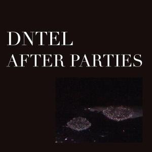 Cover for Dntl · After Parties 2 (LP) [Maxi edition] (2010)