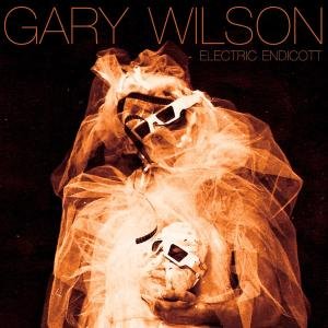 Cover for Gary Wilson · Electric Endicott (VINIL) (2010)