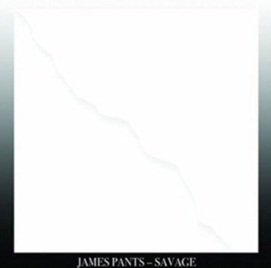 Savage - James Pants - Música - STONES THROW - 0659457236311 - 18 de maio de 2018