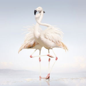 Rustie · Green Language (LP) [Standard edition] (2014)