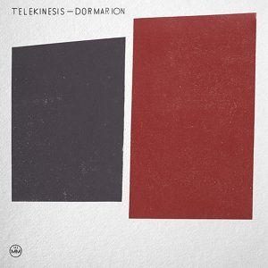 Cover for Telekinesis · Dormarion (LP) (2013)
