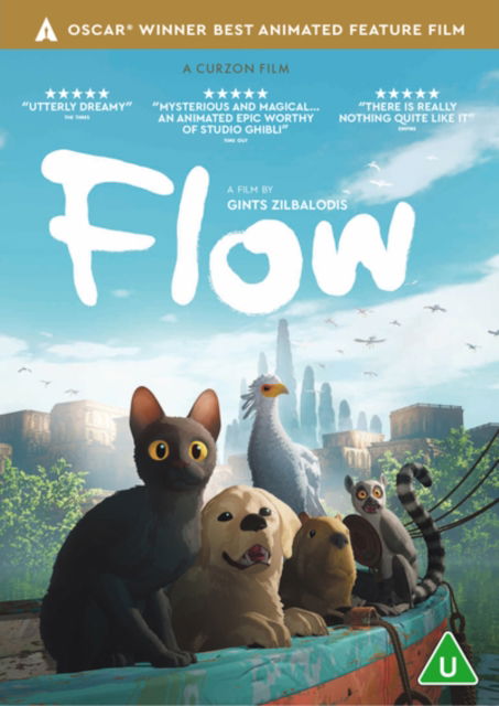 Cover for Flow (DVD) (2025)