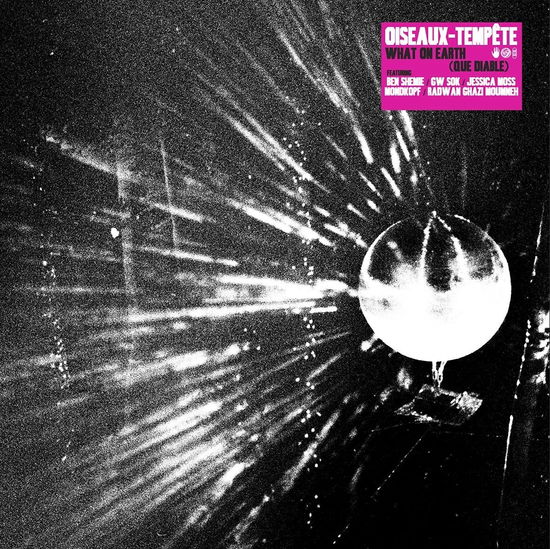 What on Earth (Que Diable) - Oiseaux-tempete - Music - SUB ROSA - 5411867115311 - December 9, 2022