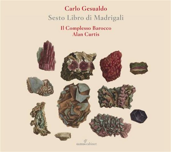 Cover for Il Complesso Barocco / Alan Curtis · Sesto Libro De Madrigali 1611 (CD) (2021)