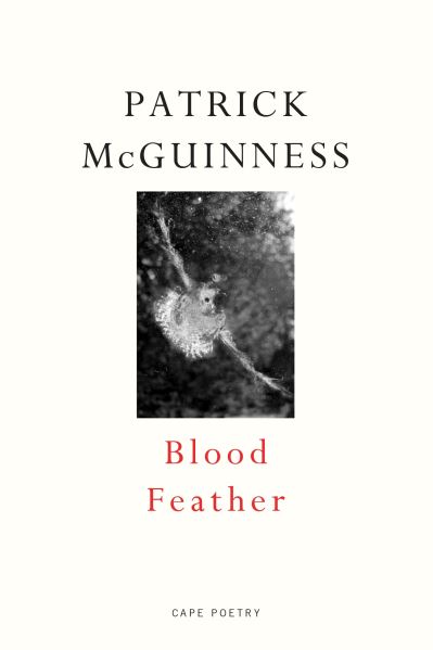 Cover for Patrick McGuinness · Blood Feather: ‘He writes with Proustian elan and Nabokovian delight’ John Banville (Paperback Book) (2023)