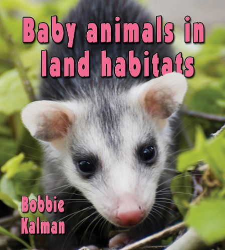 Cover for Bobbie Kalman · Baby Animals in Land Habitats (Habitats of Baby Animals) (Hardcover Book) (2011)