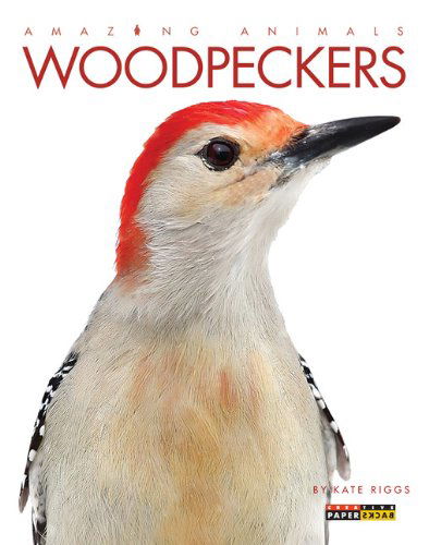 Cover for Kate Riggs · Amazing Animals: Woodpeckers (Paperback Book) (2014)