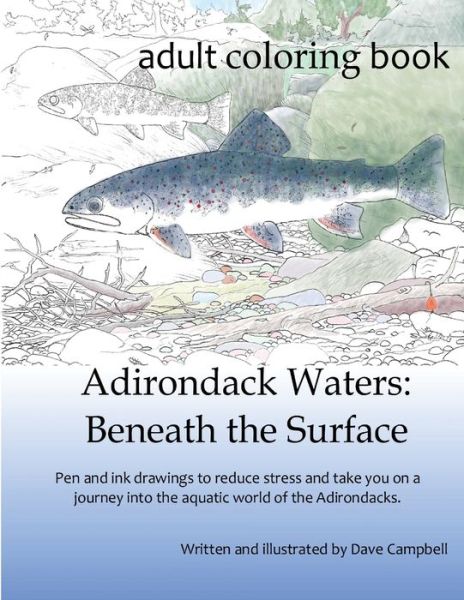 Adirondack Waters - Dave Campbell - Books - Dave Campbell - 9780997439311 - April 24, 2016