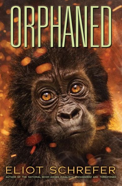 Cover for Eliot Schrefer · Orphaned (Ape Quartet #4) - Ape Quartet (Paperback Bog) (2020)