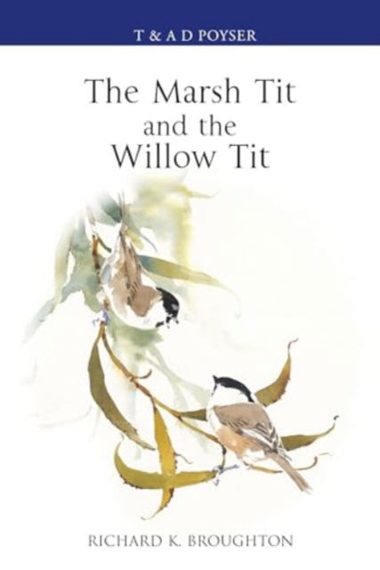 Cover for Richard Broughton · The Marsh Tit and The Willow Tit - Poyser Monographs (Hardcover Book) (2024)