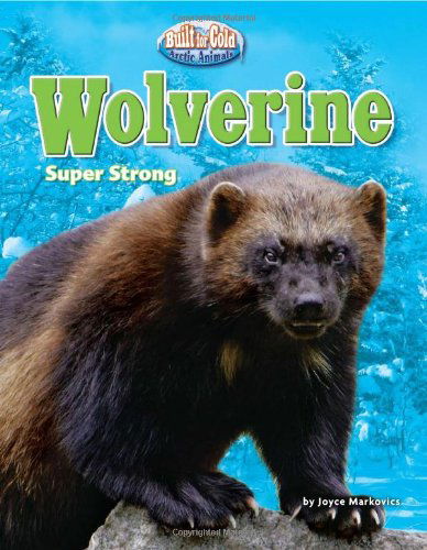 Cover for Joyce Markovics · Wolverine: Super Strong (Built for Cold: Arctic Animals) (Hardcover Book) [Lib / Psc edition] (2011)