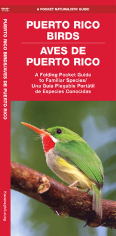 Cover for James Kavanagh · Puerto Rico Birds / Aves de Puerto Rico (Bilingual) (Paperback Book) (2022)