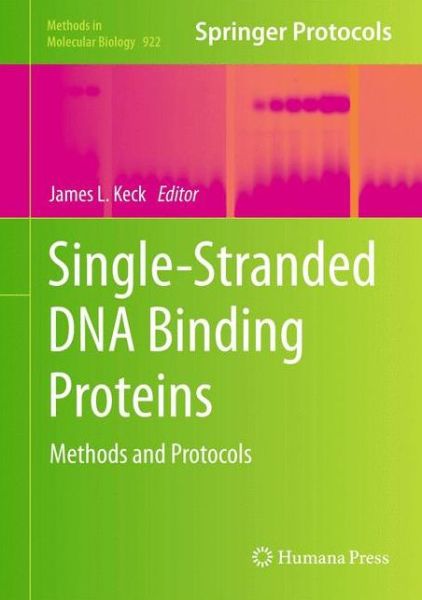 Cover for James L Keck · Single-Stranded DNA Binding Proteins: Methods and Protocols - Methods in Molecular Biology (Hardcover Book) [2012 edition] (2012)