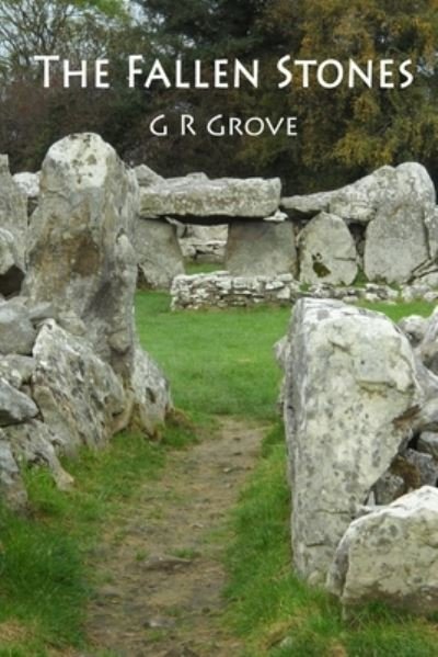 Cover for G R Grove · The Fallen Stones (Paperback Bog) (2020)