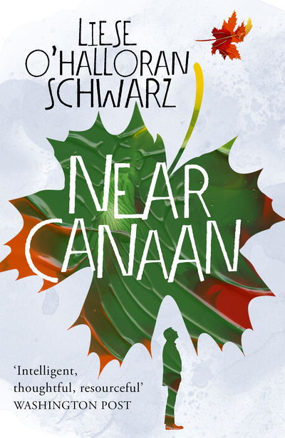 Near Canaan - Liese O'Halloran Schwarz - Books - Cornerstone - 9781784757311 - November 29, 2018