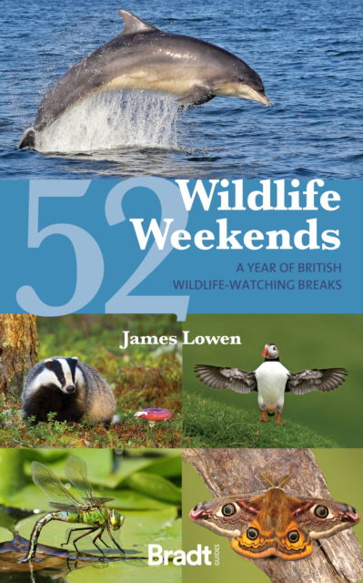 52 Wildlife Weekends: A Year of British Wildlife-Watching Breaks - James Lowen - Książki - Bradt Travel Guides - 9781804691311 - 15 sierpnia 2023