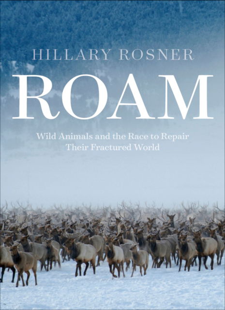 Cover for Hillary Rosner · Roam: Wild Animals, Human Landscapes, and the Race to Knit the Natural World  Back Together (Hardcover Book) (2025)