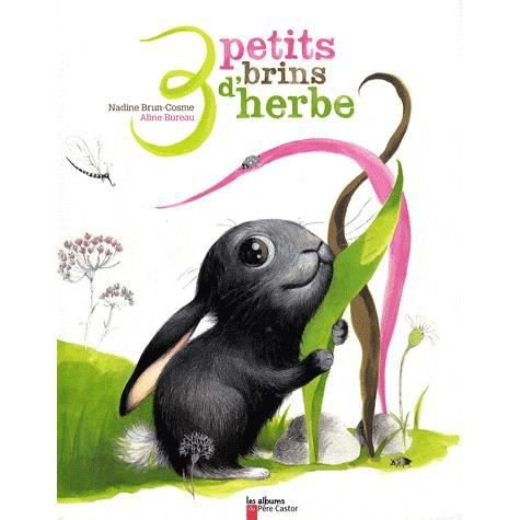 Cover for Nadine Brun-Cosme · Trois petits brins d'herbe (Gebundenes Buch) (2008)