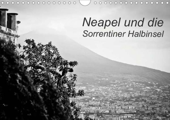 Neapel und die Sorrentiner Hal - Reinecke - Książki -  - 9783670889311 - 