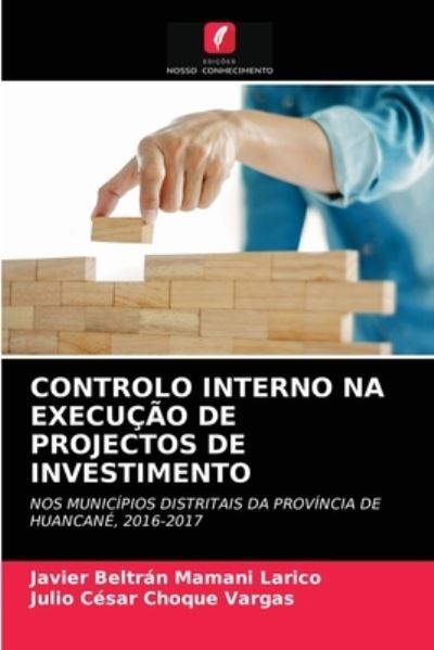 Cover for Javier Beltran Mamani Larico · Controlo Interno Na Execucao de Projectos de Investimento (Paperback Book) (2021)
