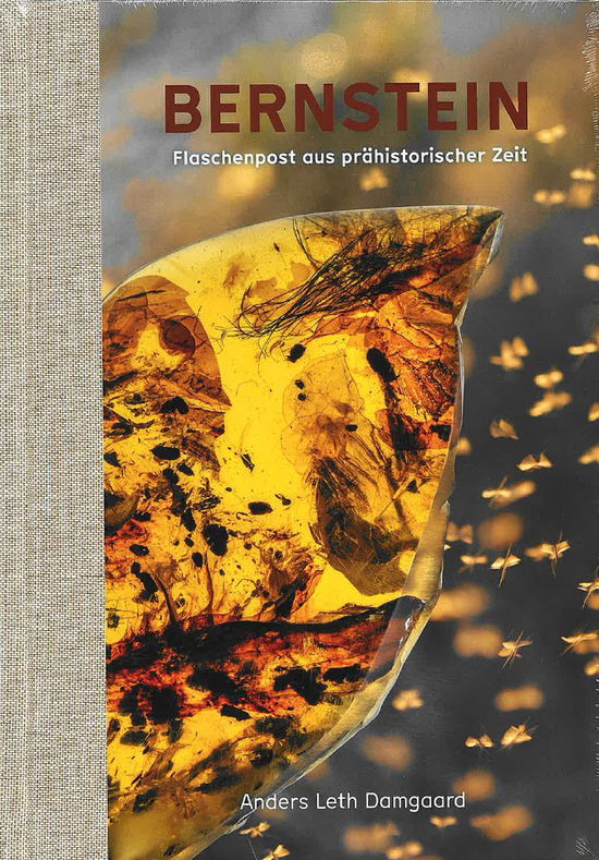 Cover for Anders Leth Damgaard · BERNSTEIN - Flaschenpost aus prähistorischer Zeit (Gebundenes Buch) [1. Ausgabe] (2025)