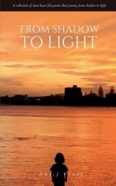 From Shadow to Light - Amy J Young - Books - Bookleaf Publishing - 9789357692311 - November 18, 2023