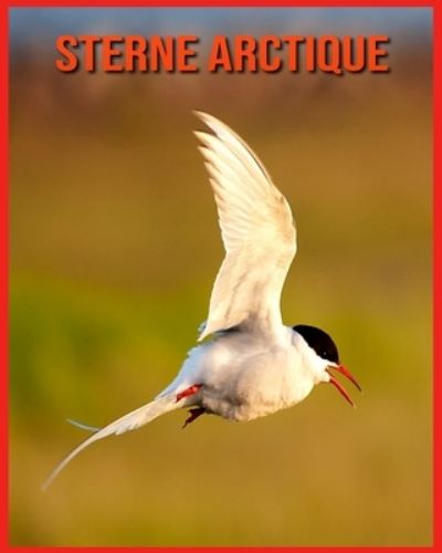 Cover for Linda Davis · Sterne Arctique (Paperback Book) (2021)