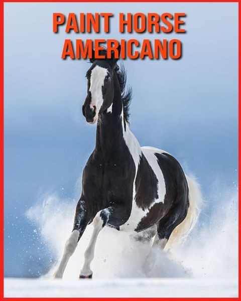 Cover for Linda Davis · Paint Horse Americano: Fatti di apprendimento divertenti sui Paint Horse Americano (Paperback Book) (2021)