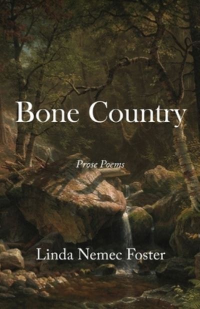 Bone Country - Linda Nemec Foster - Books - Cornerstone Press - 9798986966311 - March 10, 2023