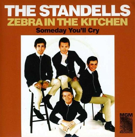 Cover for Standells · Zebra In The Kitchen (LP) [Limited edition] (2013)