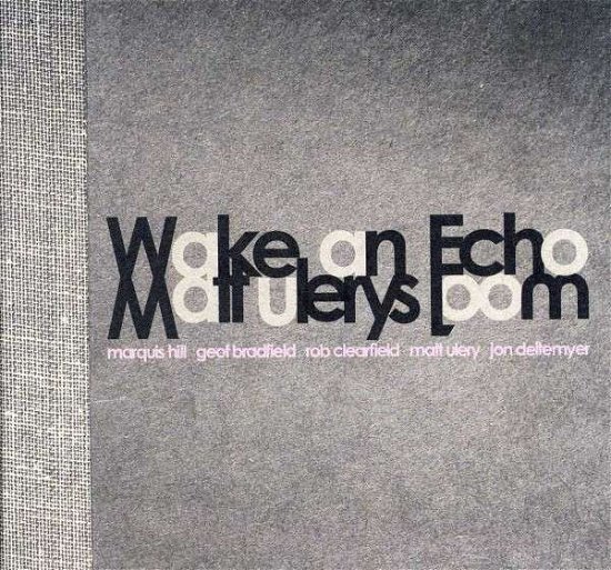 Matt Ulery · Wake An Echo (CD) (2017)