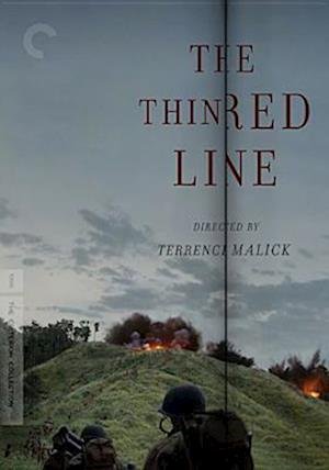 Cover for Criterion Collection · Thin Red Line / DVD (DVD) (2010)