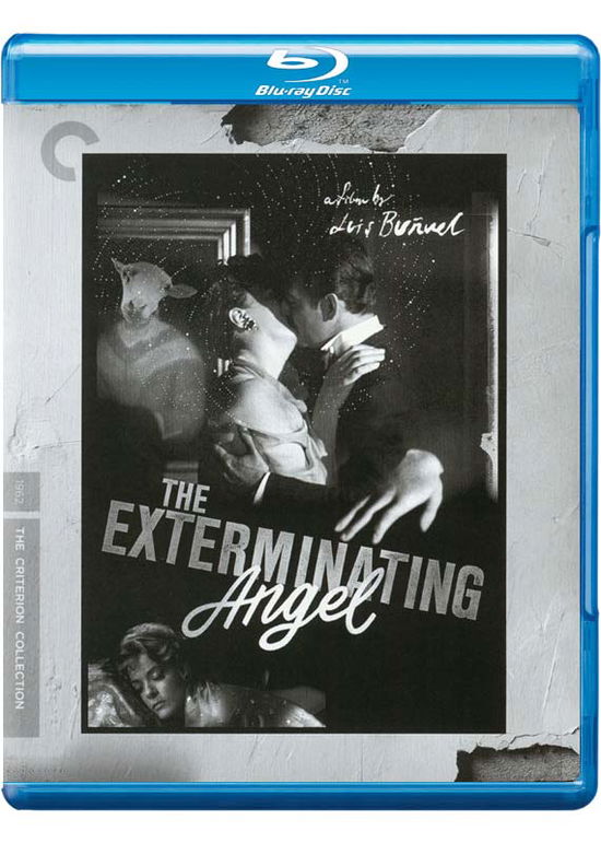 Cover for Criterion Collection · Exterminating Angel/bd (Blu-ray) (2016)