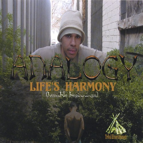 Cover for Analogy · Lifes Harmonyhumble Beginnings (CD) (2004)